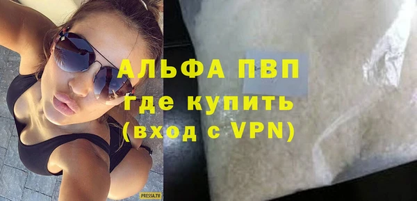 соль ск Дмитриев