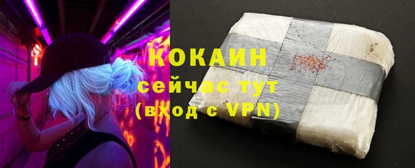 бошки Дмитров