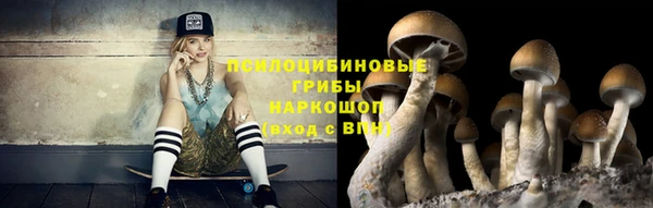 дживик Дмитровск