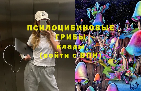 соль ск Дмитриев