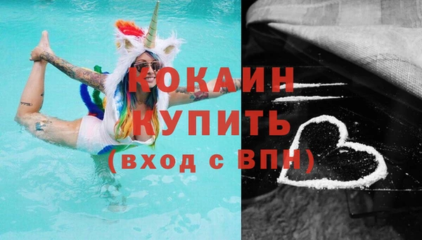 соль ск Дмитриев