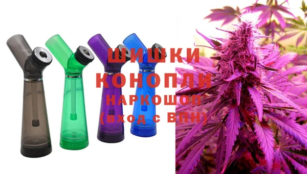 соль ск Дмитриев