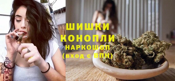 бошки Дмитров
