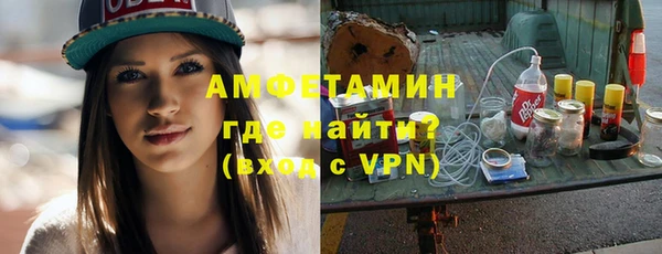 соль ск Дмитриев