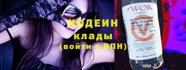 соль ск Дмитриев